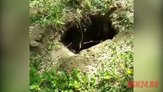 Жительница Благовещенска пожаловалась на яму возле набережной Амура