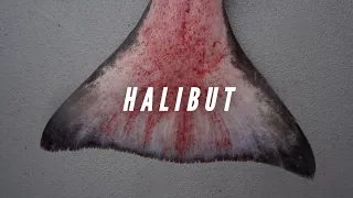 HALIBUT FISHING - THE MOST EPIC VIDEO YOU WILL EVER SEE! #halibut #fishing