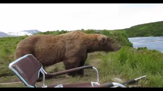 Медведь пришел к рыбакам, посмотрел на реку, зевнул и ушел