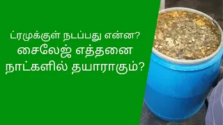 ட்ரமுக்குள் நடப்பது என்ன? சைலேஜ் எத்தனை நாட்களில் தயாராகும் Silage Making