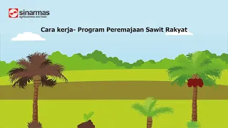 How it works - Oil palm trees replanting programme (Bahasa Indonesia Subtitles)