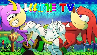 ESSE JOGO DO KNUCKLES É BEM CHAOTIX