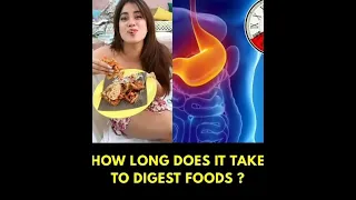 How long does it take to digest food?#shorts