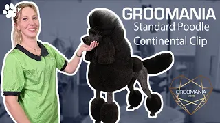 Standard Poodle Continental Clip with Lienke Luthart | Groomania 2020 Grooming Demonstration