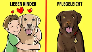 Die 10 Besten Hunderassen Für Kinder Und Familien