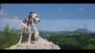 Pješke po Zagorju - On foot by Zagorje - Croatia walking tour with 2 dalmatians