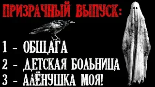 Истории на ночь (3в1): Призрачный выпуск - 1.Общага, 2.Дeтская больница, 3.Алёнушка моя!