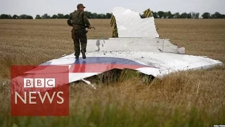 MH17 hit by 'numerous objects' says report - BBC News