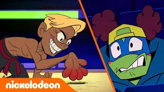 Черепашки-ниндзя | Пушистые кулаки! | Nickelodeon Россия