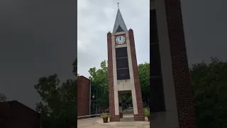 The university of the incarnate Word verdin supreme touch carillon at noon￼￼