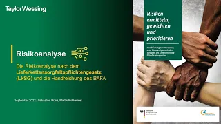 Die Risikoanalyse nach dem Lieferkettensorgfaltspflichtengesetz (LkSG) und die Handreichung des BAFA