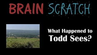 BrainScratch: What Happened to Todd Sees?