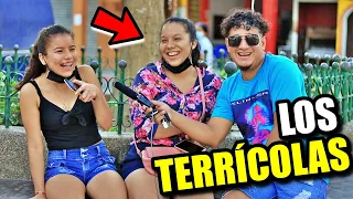 ¿Qué harías si ves un TERRÍCOLA en la calle?