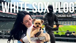 Chicago White Sox Vlog | EVERYONE BROUGHT THEIR DOGS!