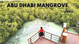 Jubail Mangrove Park Abu Dhabi  Nature attractions in Abu Dhabi | Unique Places To Visit In UAE