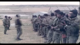 Comandos Argentinos Malvinas