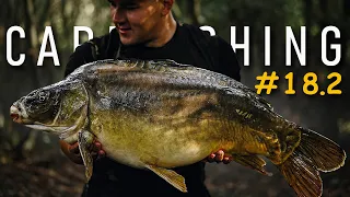 #18/2 MONSTER HUNTING / TROPHY FISH / CARP FISHING / WOW! WATCH TO THE END WHAT IT DOES