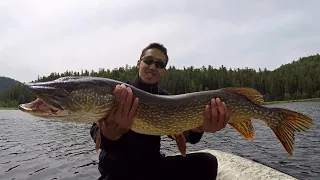 Чивыркуй. Рыбалка мечты на крупную Щуку !