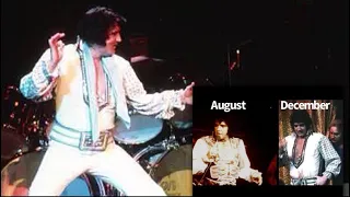 Live footage from Dec 1975 | Return after layoff 1975 | I read your comments