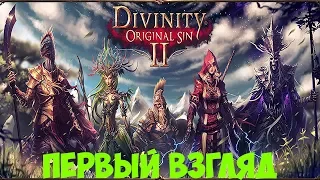 Divinity:Original Sin 2  Мой первый взгляд. Понюхаем,пощупаем