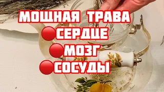 Сильная трава для мозга,сердца,сосудов,чистит суставы, почки и даже от ожирения