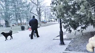 Я столько лет Николай Берег Бердянск видео 7 02 2023