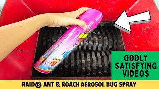 Raid® Ant & Roach Aerosol Bug Spray vs Shredder