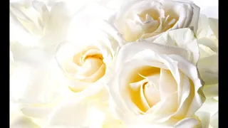 Марина Чабанова - Белые розы надежды