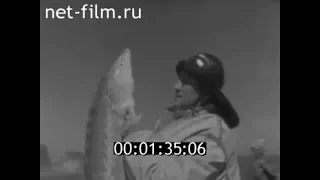 1964г. тоня Молодежная Володарский район Астраханская обл