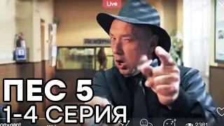 Сериал ПЕС 5 СЕЗОН - 1-4 серия - ВСЕ СЕРИИ ПОДРЯД | СЕРИАЛЫ ICTV