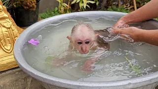 WoW Awesome Cuteness Jack Comfy Bath In Tube & Learn To Swim Like A Pro