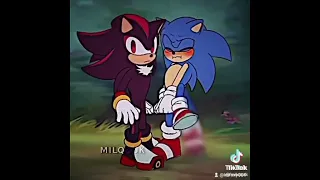 Sonic x Shadow