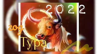 2022 год Тура(Быка)- славянский календарь.Как понравиться Быку🌈🐂?