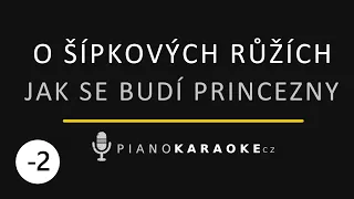 Jak se budí princezny - O šípkových růžích (Nižší tónina) | Piano Karaoke Instrumental