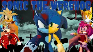 Sonic Plush: Sonic the Werehog (Donnie Plush Productions)