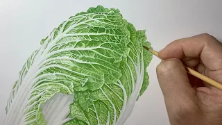 【ハクサイを描く】Paint Chinese cabbage / Time lapse 49