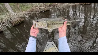 Lake Chicot Bass Fishing