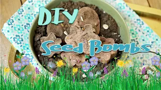 DIY Crafts - Earth Day Seed Bombs