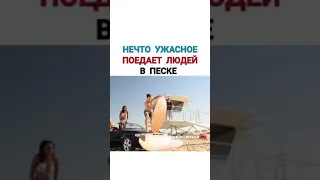 Нечто ужасное поедает людей в песке