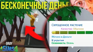 Сад денежных деревьев  | Sims 4 (Not So Berry) GREY