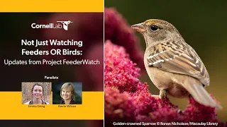 Not Just Watching Feeders OR Birds: Updates from Project FeederWatch