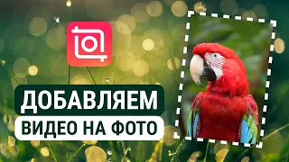 Как наложить Видео на Фото в Иншот? Inshot монтаж