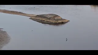 Enjoy watching the nice view and the fish jumps the water😍