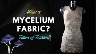 What is Mycelium Fabric? #mycelium #myceliumfabric #mushroomfabric #mushroomleather #mushroom