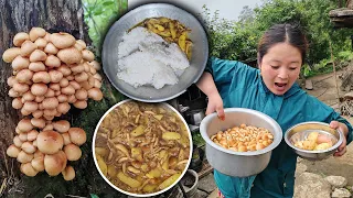 Nepali Village jungle Mushroom Recipe | Nepali Chyau Recipe अचानक आज आफ्नै जंगल मा च्याउ भेट्टाय