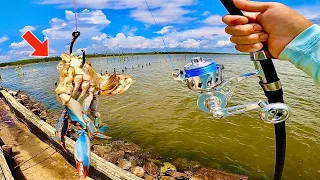 Fishing a BLUE CRAB! under a BROKEN PIER and I Caught THIS.....