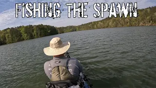 Fishing During The Spawn