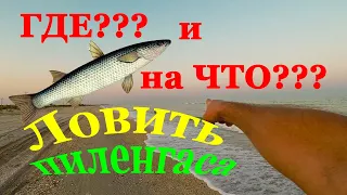 ГДЕ и на ЧТО ЛОВИТЬ ПЕЛЕНГАСА в Азовском море?! Рыбалка на пиленгаса Кирилловке и на острове Бирючий