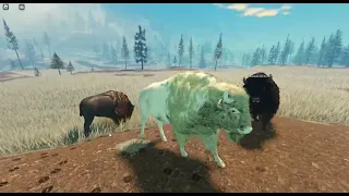 -roblox yellowstone unleashed- the white bison-part 2