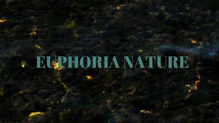EUPHORIA | Nature Meditation, Deep Relaxation, Ambient Music, Chad Crouch
